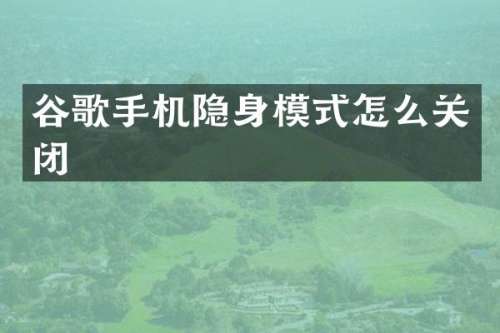 谷歌手机隐身模式怎么关闭