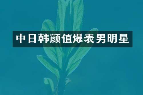 中日韩颜值爆表男明星