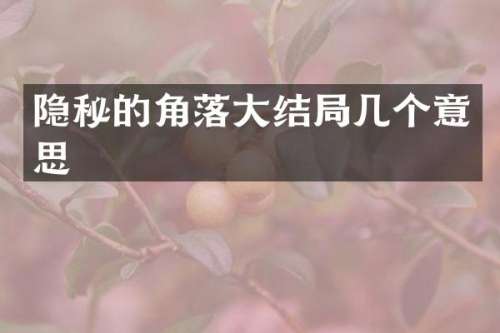 隐秘的角落大结局几个意思