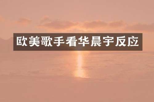 欧美歌手看华晨宇反应