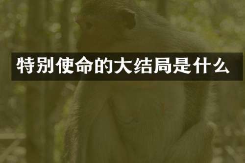特别使命的大结局是什么