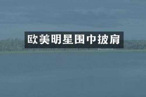 欧美明星围巾披肩