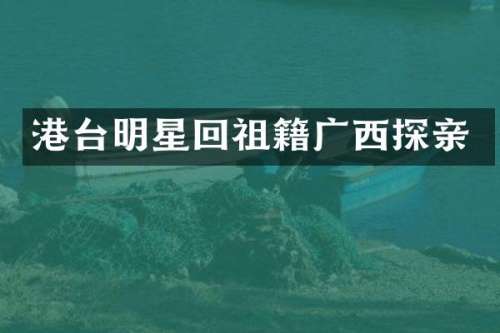港台明星回祖籍广西探亲