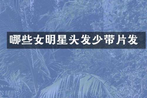 哪些女明星头发少带片发