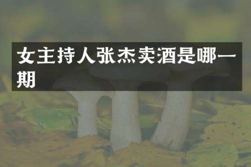 女主持人张杰卖酒是哪一期