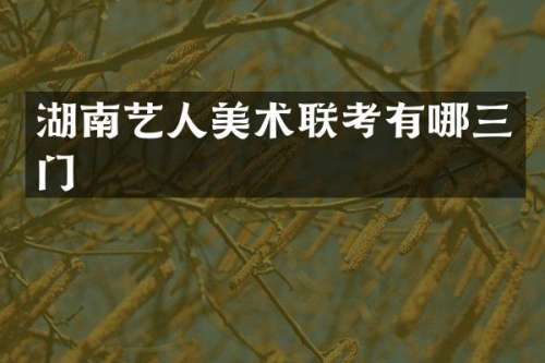 湖南艺人美术联考有哪三门