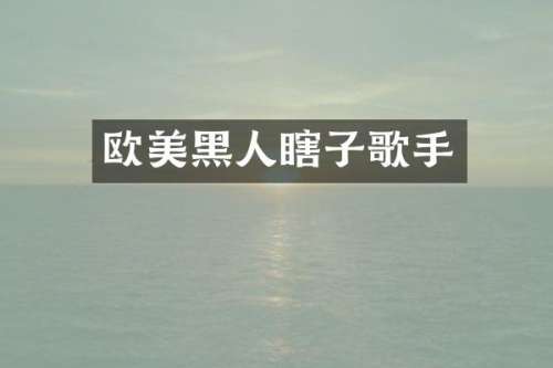 欧美黑人瞎子歌手