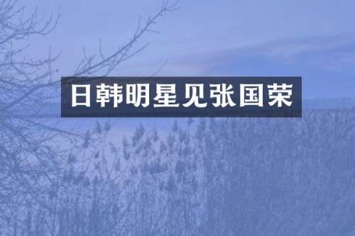 日韩明星见张国荣