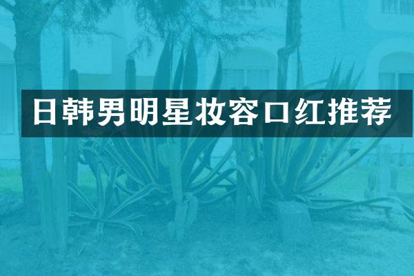 日韩男明星妆容口红推荐