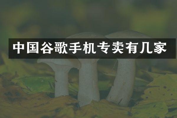 中国谷歌手机专卖有几家