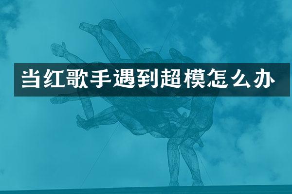 当红歌手遇到超模怎么办