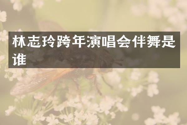 林志玲跨年演唱会伴舞是谁