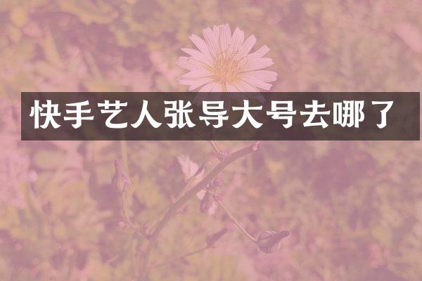 快手艺人张导大号去哪了