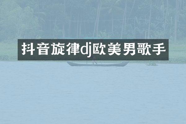 抖音旋律dj欧美男歌手