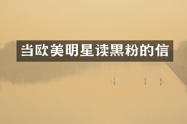 当欧美明星读黑粉的信