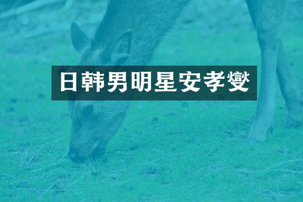 日韩男明星安孝燮