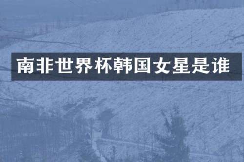南非世界杯韩国女星是谁