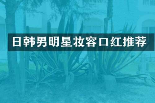 日韩男明星妆容口红推荐