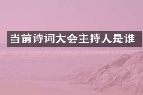 当前诗词大会主持人是谁