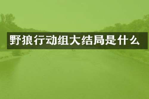野狼行动组大结局是什么