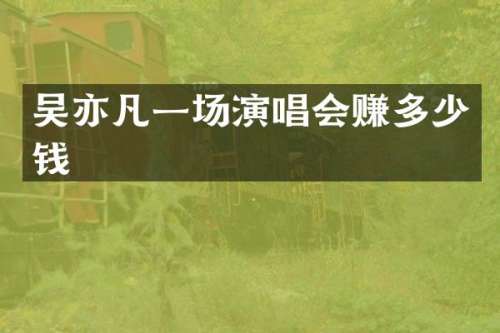 吴亦凡一场演唱会赚多少钱