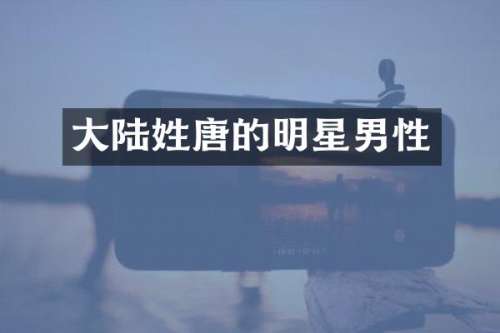 大陆姓唐的明星男性