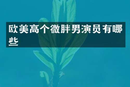 欧美高个微胖男演员有哪些