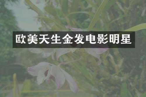 欧美天生金发电影明星