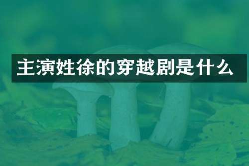 主演姓徐的穿越剧是什么