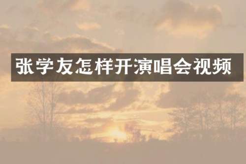 张学友怎样开演唱会视频