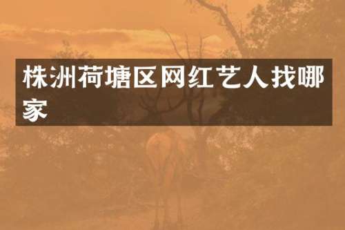 株洲荷塘区网红艺人找哪家