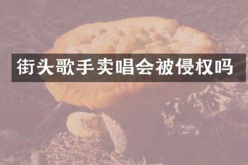 街头歌手卖唱会被侵权吗