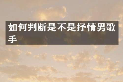 如何判断是不是抒情男歌手