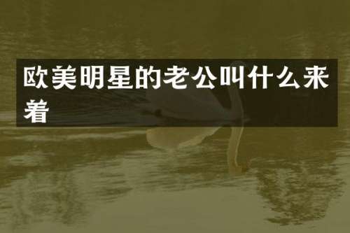 欧美明星的老公叫什么来着