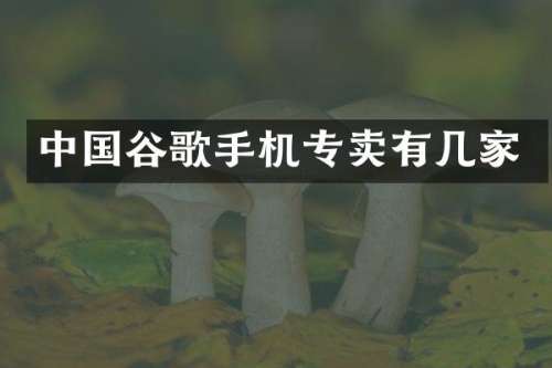 中国谷歌手机专卖有几家
