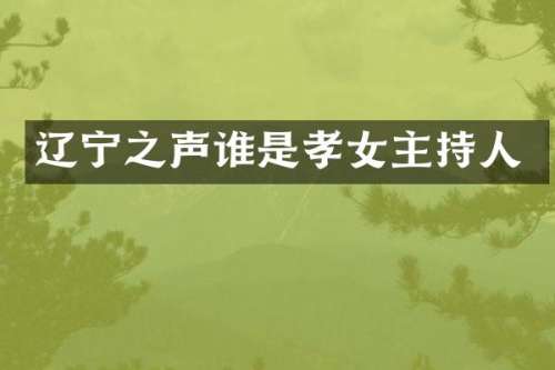 辽宁之声谁是孝女主持人