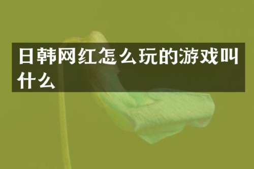 日韩网红怎么玩的游戏叫什么