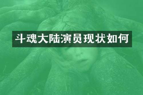 斗魂大陆演员现状如何