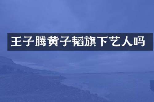 王子腾黄子韬旗下艺人吗