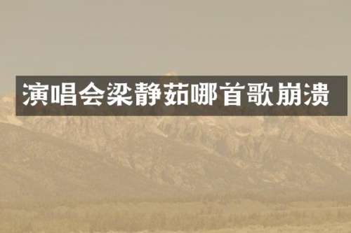演唱会梁静茹哪首歌崩溃