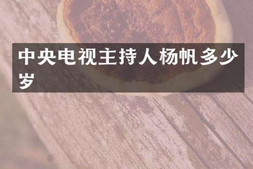 中央电视主持人杨帆