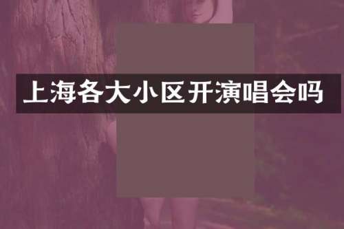 上海各大小区开演唱会吗