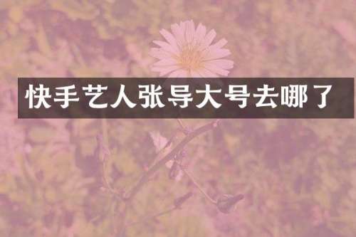 快手艺人张导大号去哪了