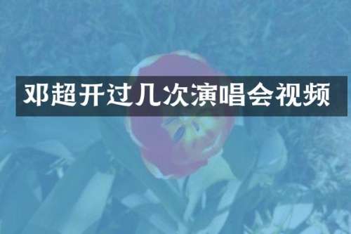 邓超开过几次演唱会视频