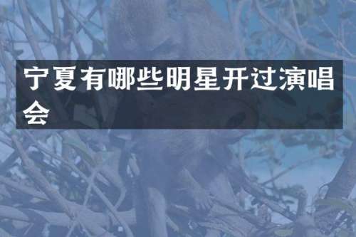 宁夏有哪些明星开过演唱会