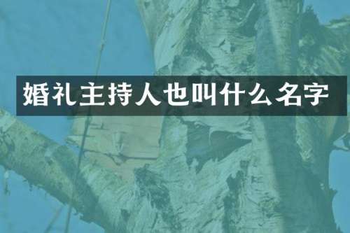 婚礼主持人也叫什么名字