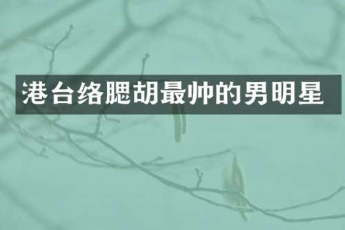 港台络腮胡最帅的男明星