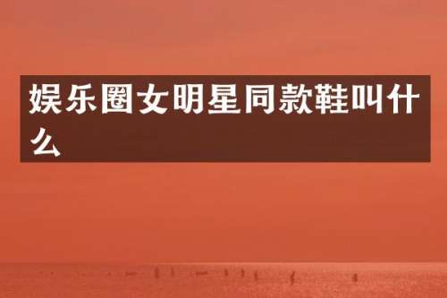 娱乐圈女明星同款鞋叫什么