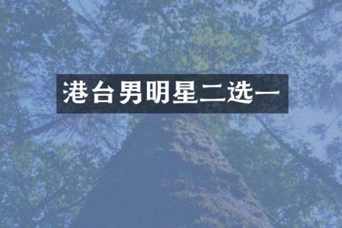 港台男明星二选一