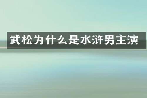 武松为什么是水浒男主演